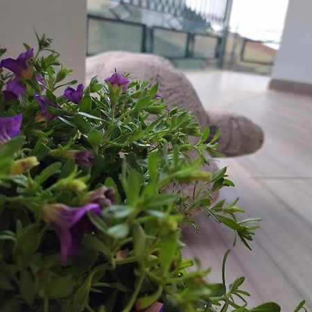 Attico Gloria & Greta Apartment Castellammare del Golfo Exterior foto