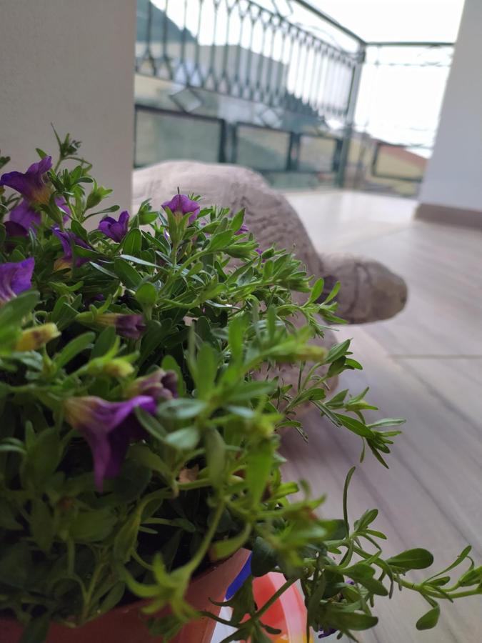 Attico Gloria & Greta Apartment Castellammare del Golfo Exterior foto